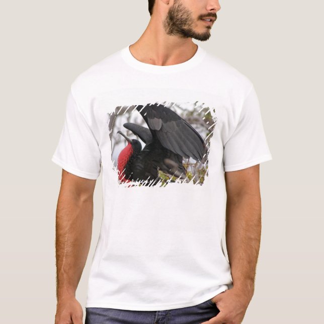 Großartiger Frigate Bird T-Shirt (Vorderseite)