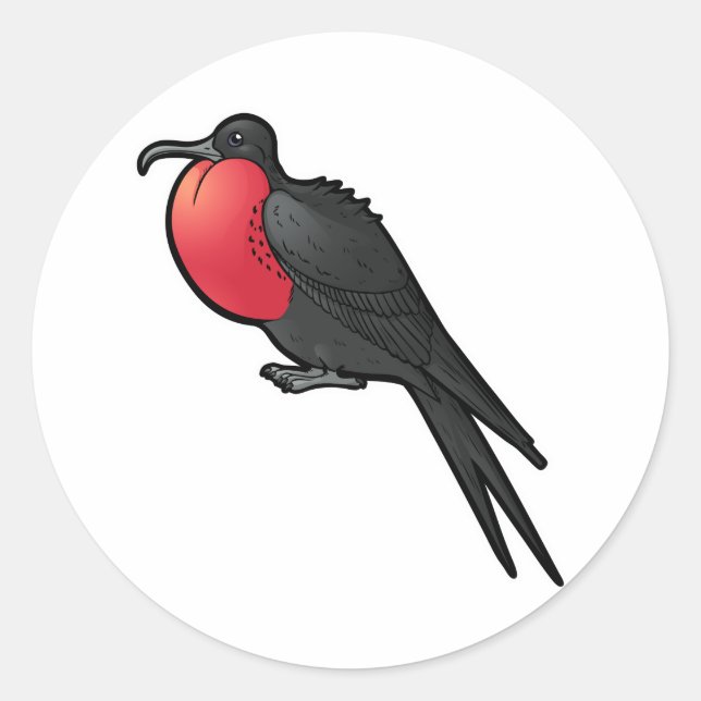 Großartiger Frigatebird Runder Aufkleber (Vorderseite)