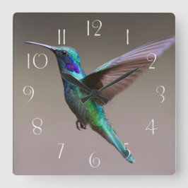 Großartiger Kolibri in der Flucht Quadratische Wanduhr