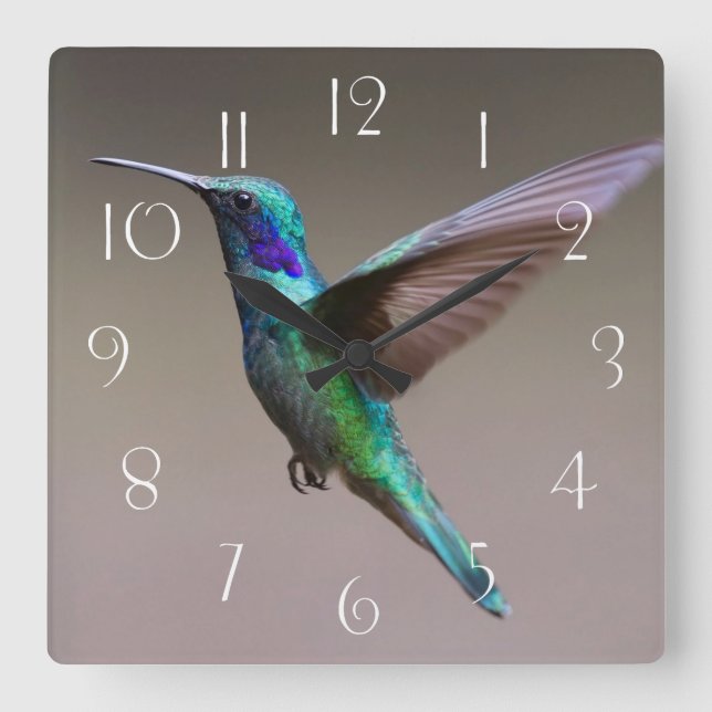 Großartiger Kolibri in der Flucht Quadratische Wanduhr (Vorderseite)