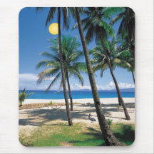 Großartiger Ozean-und Strand-Ansicht-Entwurf