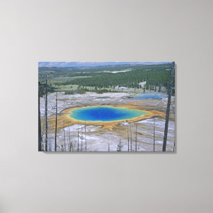 Großartiger prismatischer Frühling, Yellowstone Leinwanddruck