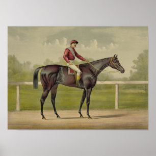 Großartiger Racer Kingston - Vintages Pferdelaufen Poster
