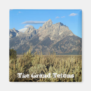 Großartiger Teton Nationalpark-Magnet Magnet