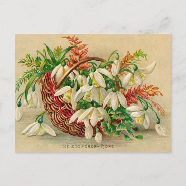 Großartiger Viktorianischer Blumenkorb mit Schneef Postkarte (Vorderseite)