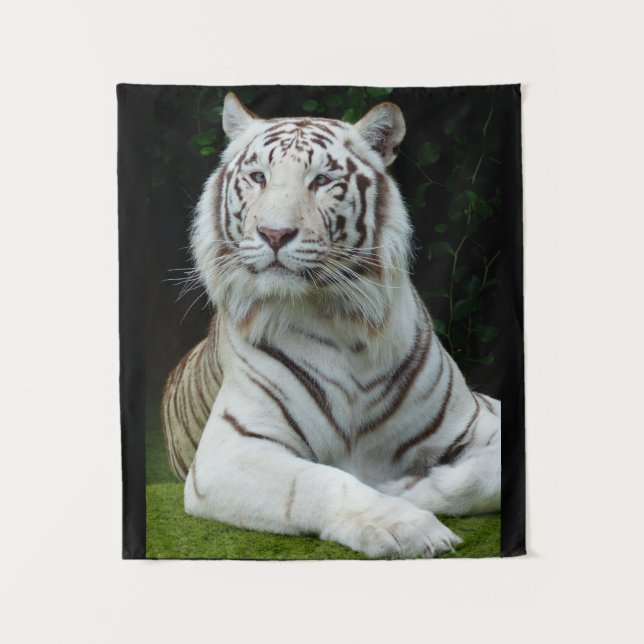 Großartiger weißer Tiger Wandteppich (Vorderseite)