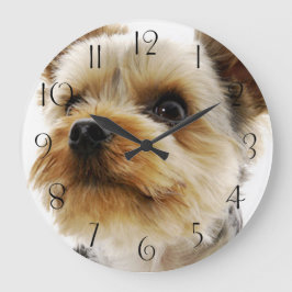 Großartiger Yorkshire Terrier Große Wanduhr