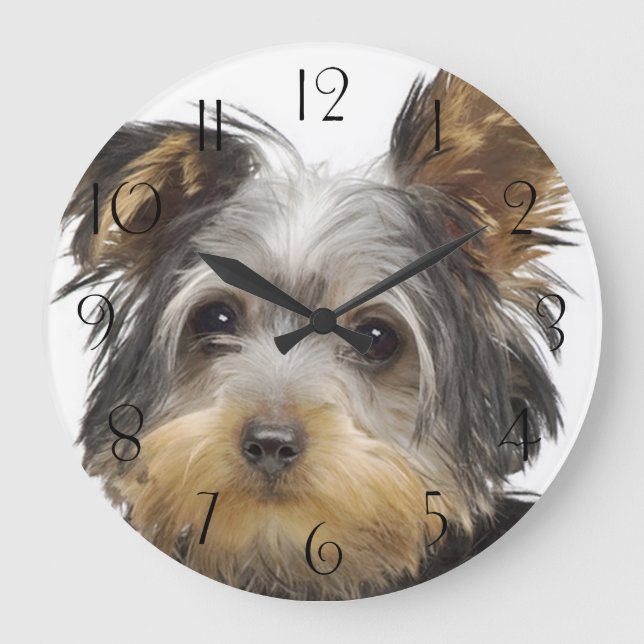 Großartiger Yorkshire Terrier Große Wanduhr (Vorderseite)