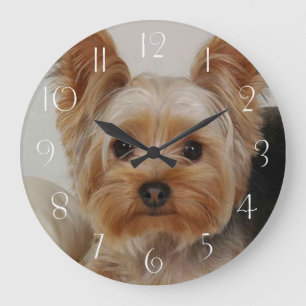 Großartiger Yorkshire Terrier Große Wanduhr