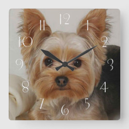 Großartiger Yorkshire Terrier Quadratische Wanduhr