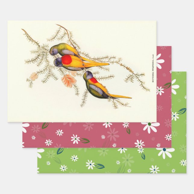 Großartiges Gras-Parakeet, Geschenk Geschenkpapier Set (Set)