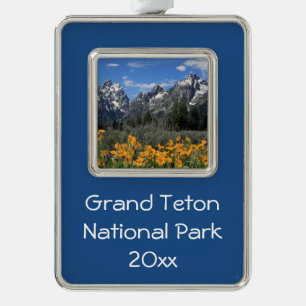 Großartiges Teton Frühjahr-Andenken-Foto Rahmen-Ornament Silber