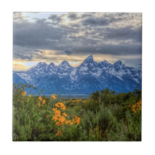 Großartiges Tetons Fliese