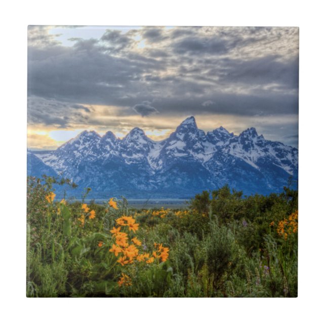 Großartiges Tetons Fliese (Vorderseite)