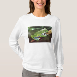 Großaugen-Waldlaubfrosch, Leptopelis vermiculatus, T-Shirt