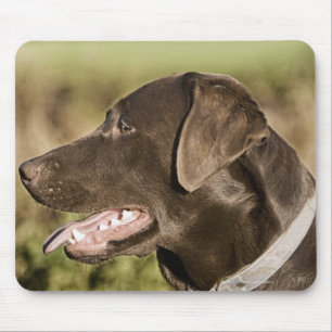 Großbritannien, England, Suffolk, Thetford Wald, Mousepad