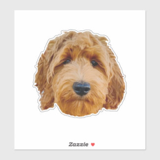 Große 20,3 x 20,3 cm Vinyl-Aufkleber nach Maß gesc Aufkleber