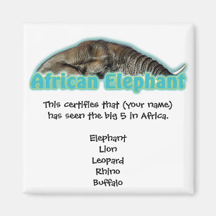 Große 5 Afrika-Tiersafarimagneten Magnet