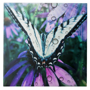 Große (6" X 6") Keramik-Foto-Fliese/Schmetterling Fliese