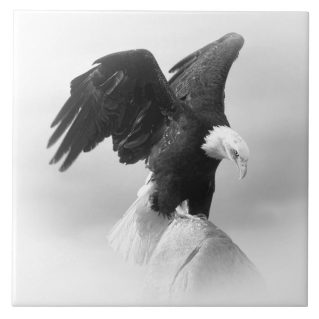 Große (6" x 6") Keramik Foto Tile Fliese (Vorderseite)