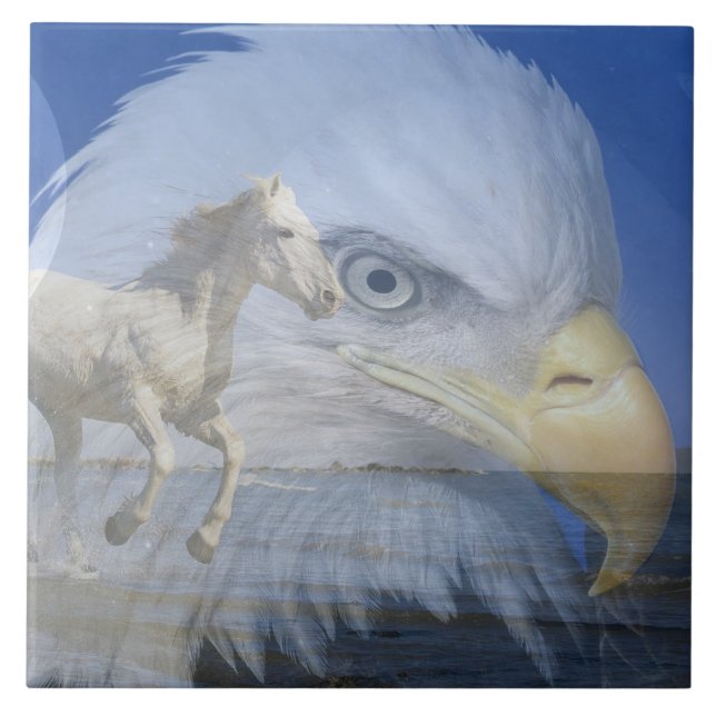 Große (6" x 6") Keramik Foto Tile Fliese (Vorderseite)