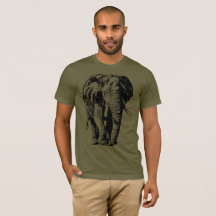 Große afrikanische wild lebende Tiere