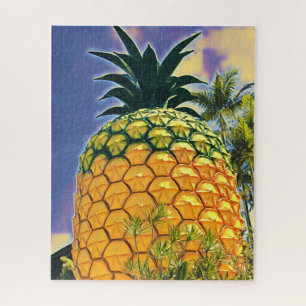 Grosse ananas puzzle du Queesnsland