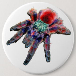 Große aquamarine lila Spinne Button