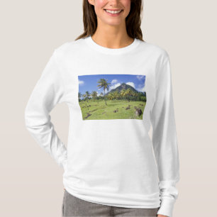 Grosse Aussicht auf den historischen Pfad im T-Shirt