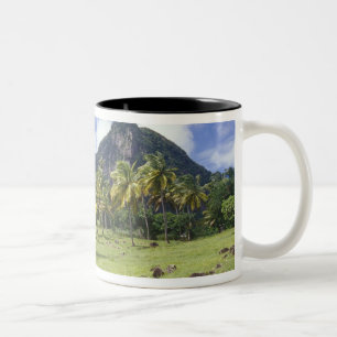 Grosse Aussicht auf den historischen Pfad im Zweifarbige Tasse