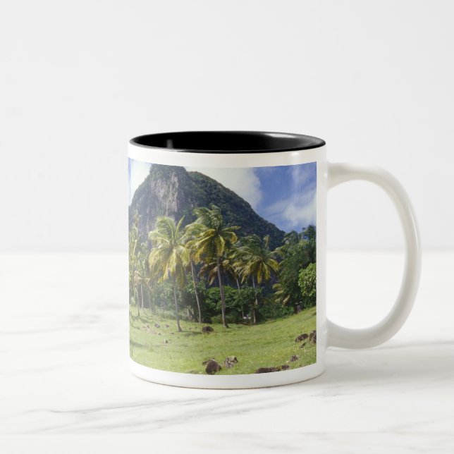 Grosse Aussicht auf den historischen Pfad im Zweifarbige Tasse (Rechts)