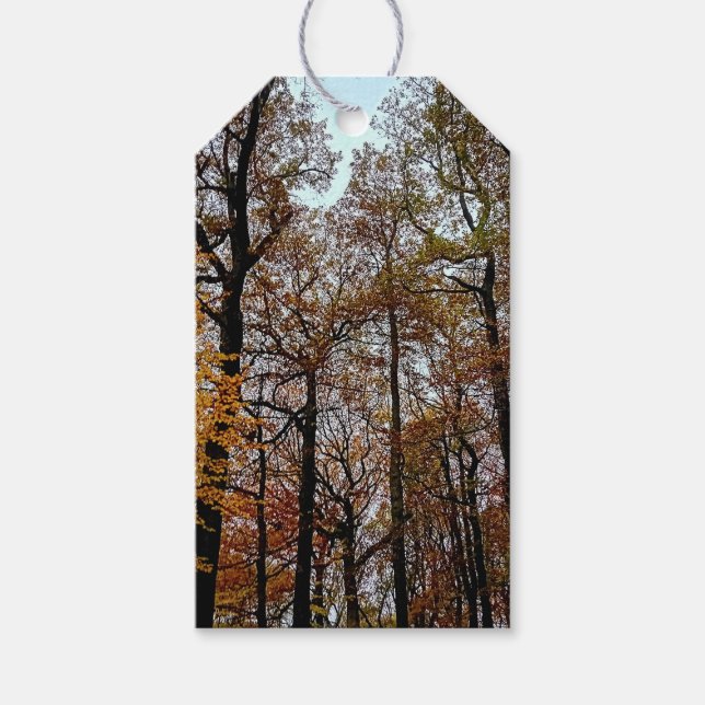 Große Bäume Geschenkanhänger (Vorderseite)