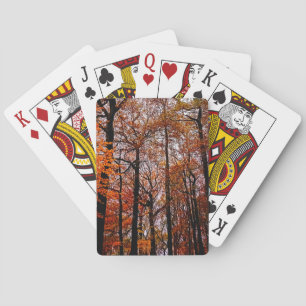 Große Bäume Spielkarten