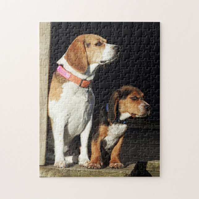 Große Beagle-Schwester u. kleiner Bruder-Beagle (Vertikal)