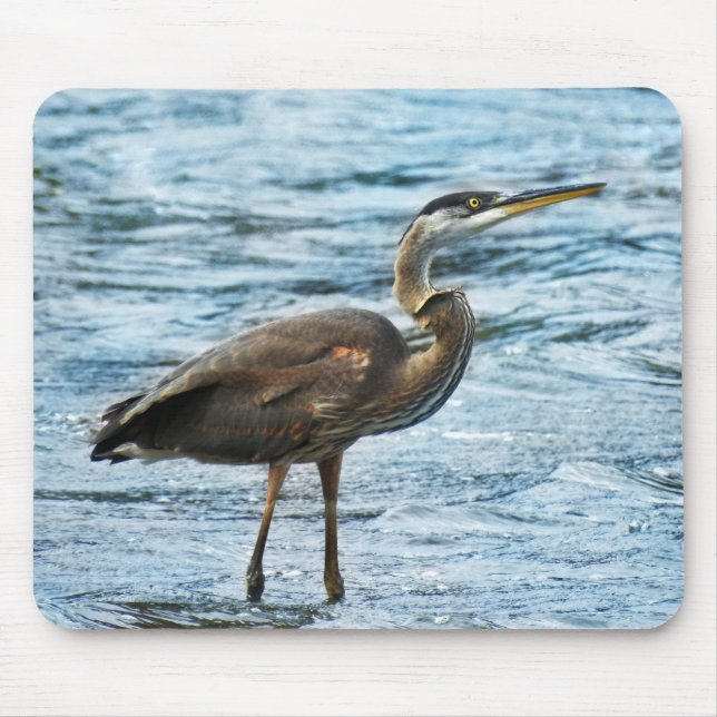 Große Blaue Heron im blauen Wasser Mousepad (Vorne)