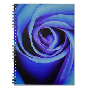Große blaue Rose Notizblock