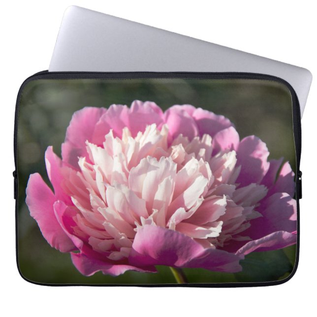 Große Blume aus rosafarbenem Pinien am Frühlingsta Laptopschutzhülle (Vorderseite)