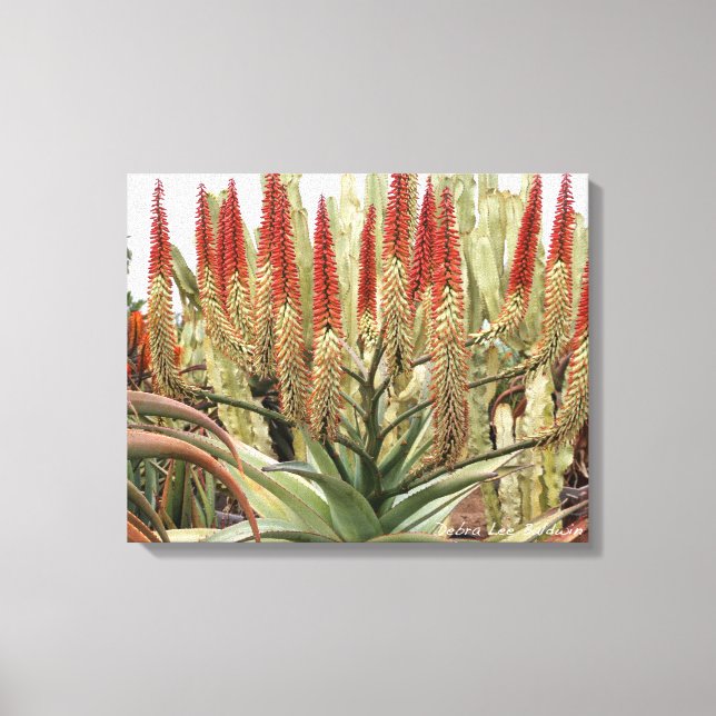 Große Blütewohnung Leinwanddruck (Vorderseite)