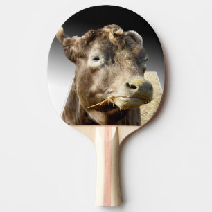 Große braune Kuhgesicht, Tischtennis Schläger