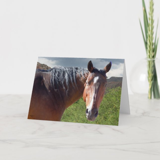 Große Bucht-amerikanischer Quarterhorse - löschen Karte (Vorderseite)