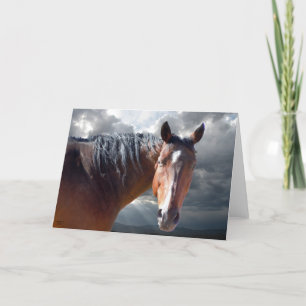 Große Bucht-amerikanischer Quarterhorse - löschen Karte