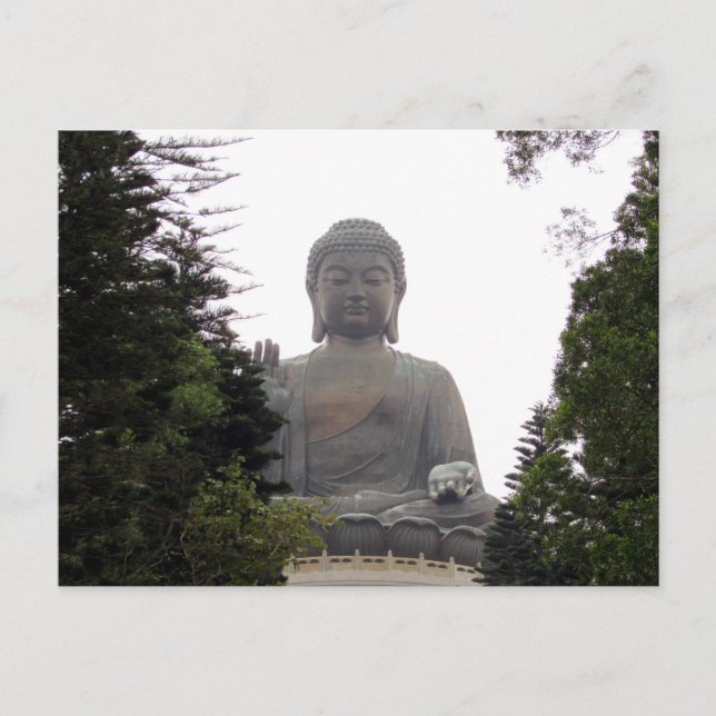 große Buddha-Bäume Postkarte (Vorderseite)