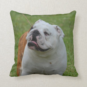 Große Bulldogge Kissen