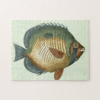 Große bunte Fische