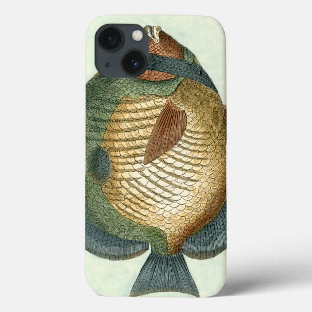 Große bunte Fische Case-Mate iPhone Hülle (Rückseite)