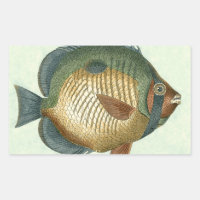 Große bunte Fische