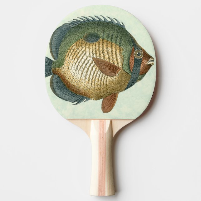 Große bunte Fische Tischtennis Schläger (Vorderseite)