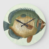 Große bunte Fische