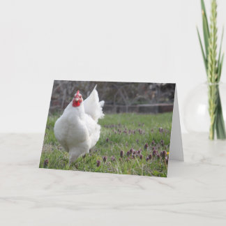 Grosse carte de voeux blanche de poule