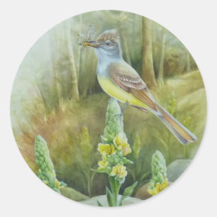 Grosse Cresta: Flycatcher Bird Runder Aufkleber